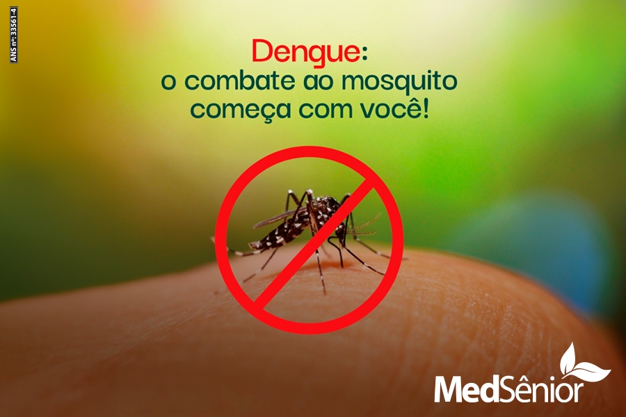 Dengue em Idosos